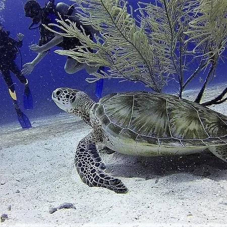 A Pie De Playa Cristianos 洛斯克里斯蒂亚诺斯